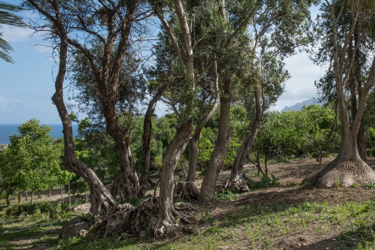 Villa Fontana Valderice Εξωτερικό φωτογραφία