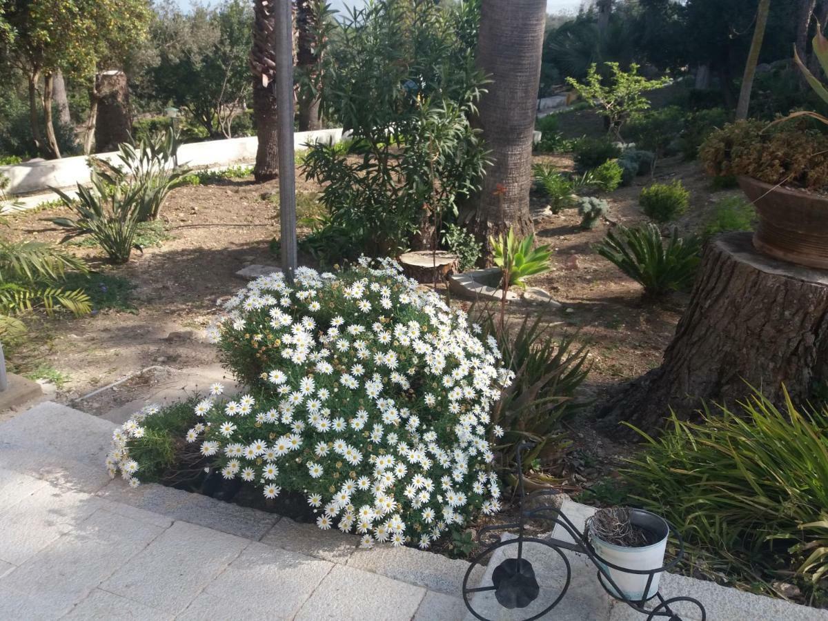 Villa Fontana Valderice Εξωτερικό φωτογραφία
